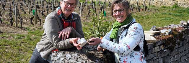 Festival de Bach à Bacchus - La Clé des sols - A la recherche du pinot perdu