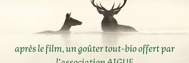 Projection : "Le chant des forêts"