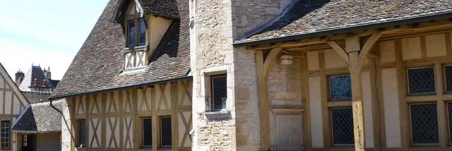 Visite commentée : l'histoire de la Bourgogne viticole