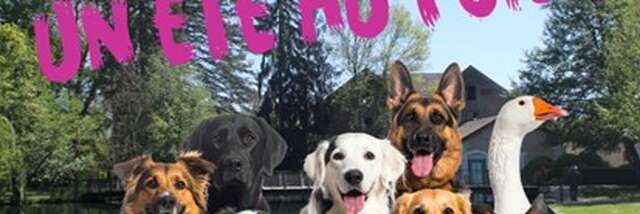 Festival Scène d'été