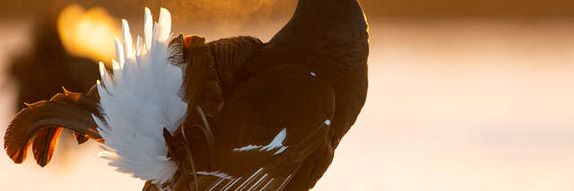 Une montagne à partager