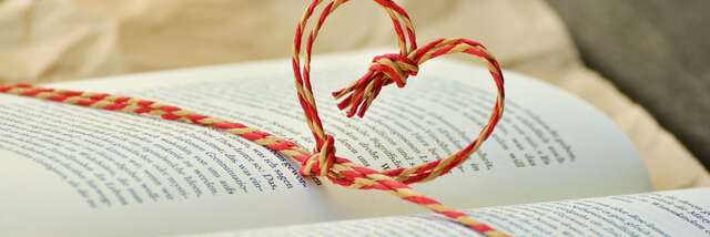 Bibliothèque participative : présentation de livres