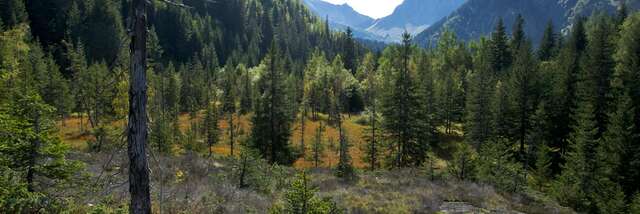 Vous avez dit tourbières ?