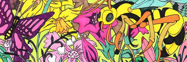 Exposition de dessins de Rémi Nadau