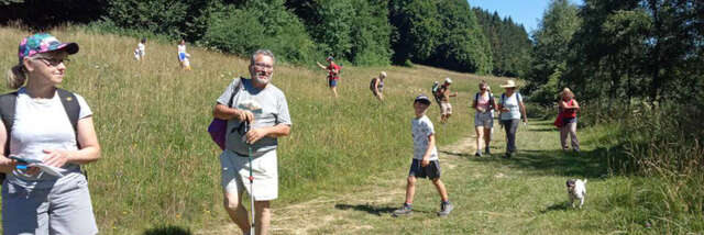 Promenade Florale sur le plateau des Moises