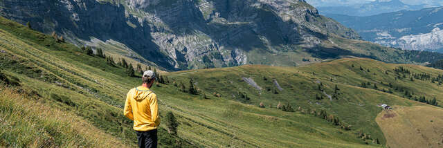 Quand les hommes et les animaux s’harmonisent en montagne