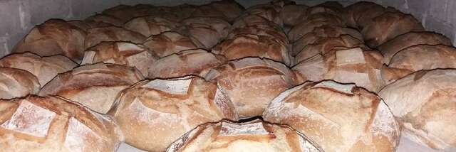 Operation Pain-Boudin