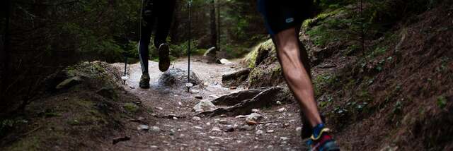 Trail Découverte