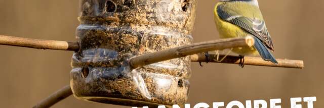 L'Atelier Mangeoire à oiseaux