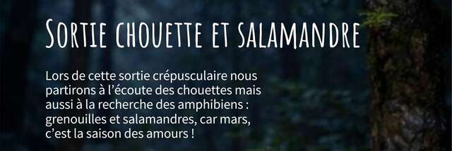 Sortie Chouette et Salamandre