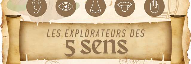 Les explorateurs des 5 sens