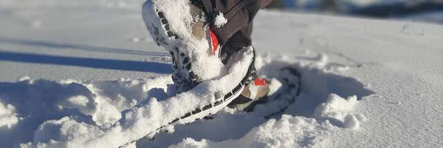 Les sentiers d'Hélène