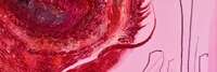 EXPO ART VIBRATOIRE - Marianne Tronel