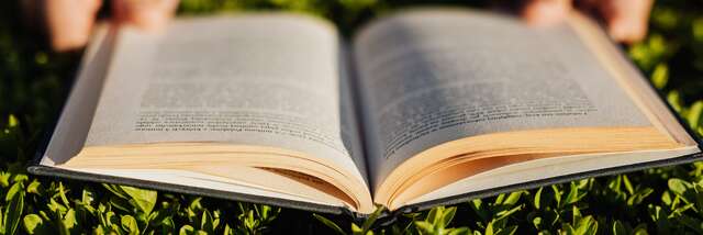 Lecture en plein air