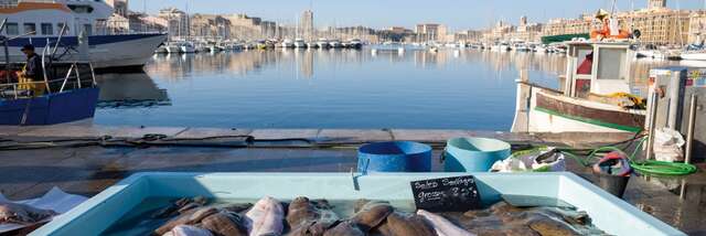 Cuisine marine durable : repenser notre assiette pour préserver la Méditerranée