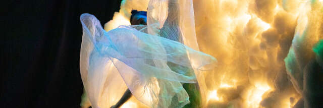 Grandir M'inspire - Spectacle Jeune Public