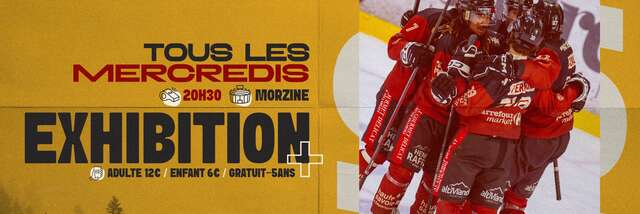 Match d'exhibition de Hockey sur glace