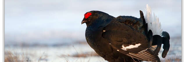 Une montagne à partager