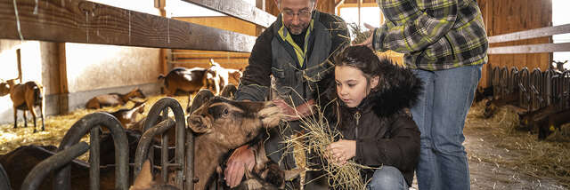 Accueil à la Chèvrerie de Vesonne