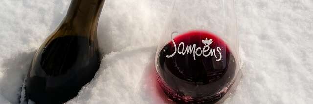 Les Vignerons font du Ski -  3ème édition