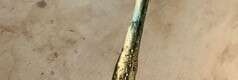 Fabrication de baguettes magiques