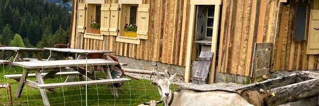 Petite balade gourmande à l’alpage