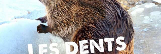 Les dents de la rivière