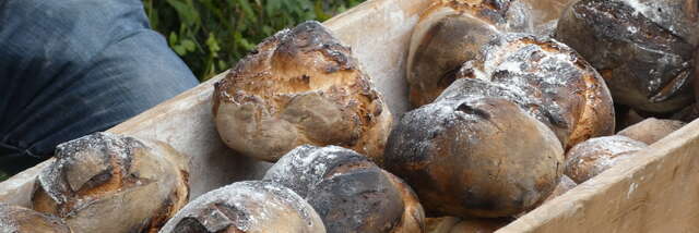 The little secrets of bread before baking