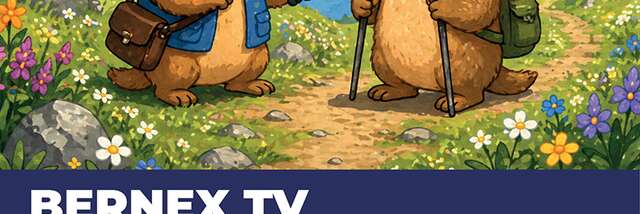 Bernex TV