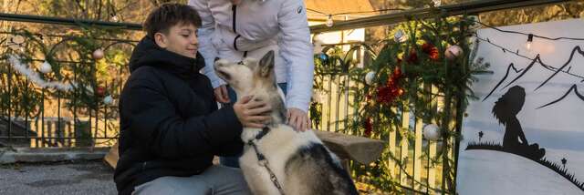 Cani-balade outing facing Mont Blanc