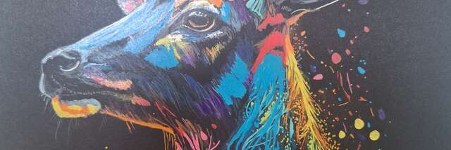 Exposition de peinture de Peggy Leclaire