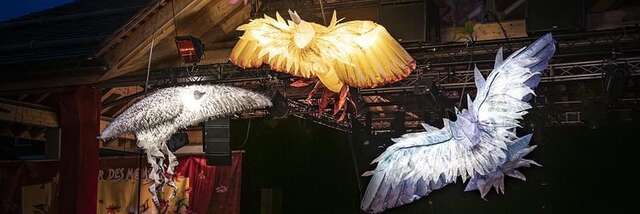 Waiting for Fun for kids festival: "Envol" show