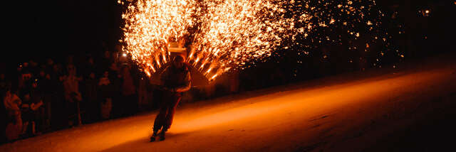 Ski Show du Nouvel An