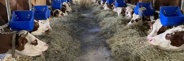 Visite de la ferme de l'Auboury