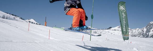 La super roue du Mom'Park