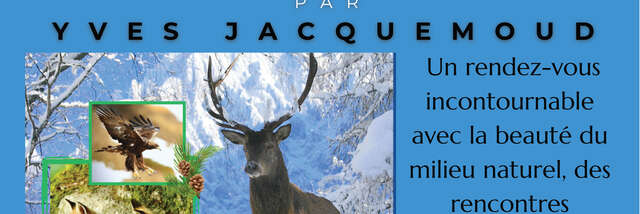 Documentaire débat "L'approche de la photo animalière" par Yves Jacquemoud