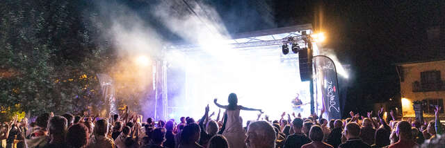 Zomerfeest aan het meer