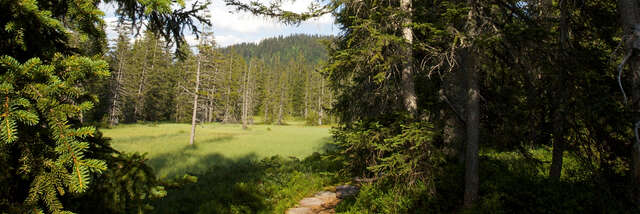 Sentier flore et milieux naturels