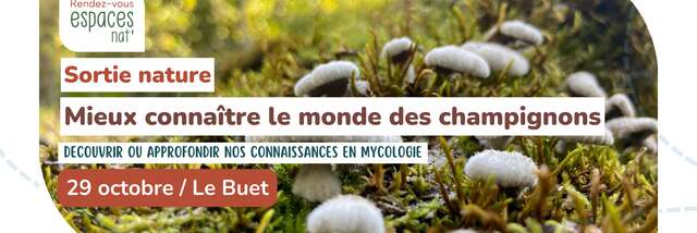 Sortie nature - Mieux connaître le monde des champignons