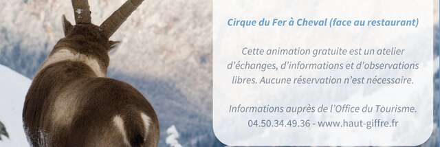 Animation "Les animaux face à l'hiver"