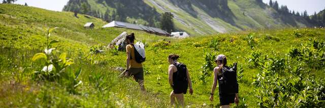 Projection d'un film autour du pastoralisme