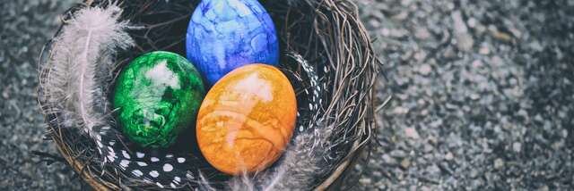 Rallye Photo : Chasse aux oeufs revisitée !