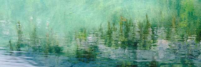 EXPO photographs Giandra DE CASTRO