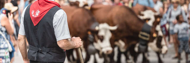 Annulée : Foire agricole de la Saint-Maurice
