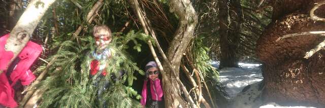 Cabin-building outing