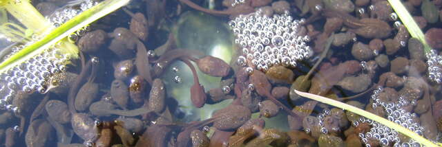 Sortie terrain avec le CREA : Vallorcine au rythme des saisons