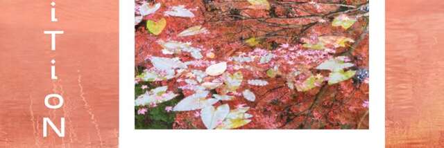 Vernissage : Exposition Giandra DeCastro - Saint-Gervais sous les Sakuras