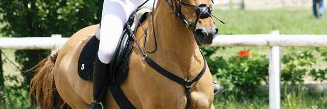 Centre hippique de Belley-Arbignieu