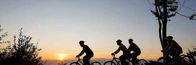 7ème Nuit des Hiboux