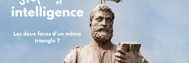 Stupidité et intelligence : les deux faces d’un même triangle ? / FETE DE LA SCIENCE